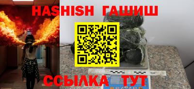 мет Кингисепп