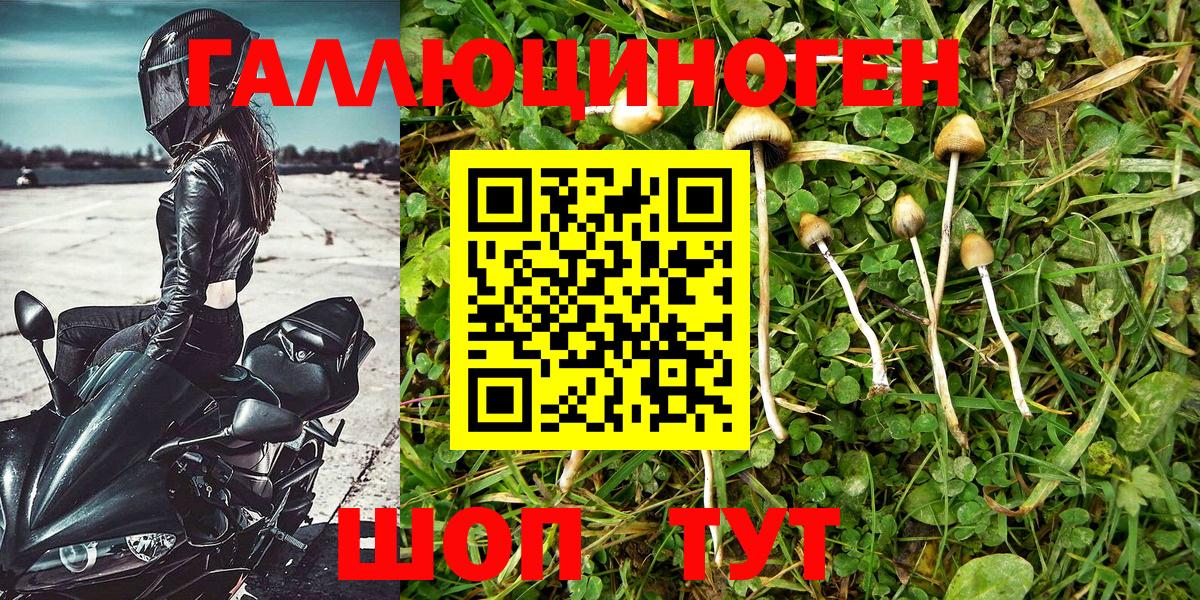 Псилоцибиновые грибы Magic Shrooms  купить наркотики сайты  Псилоцибиновые грибы Psilocybine cubensis  Лесной  Вход с VPN 